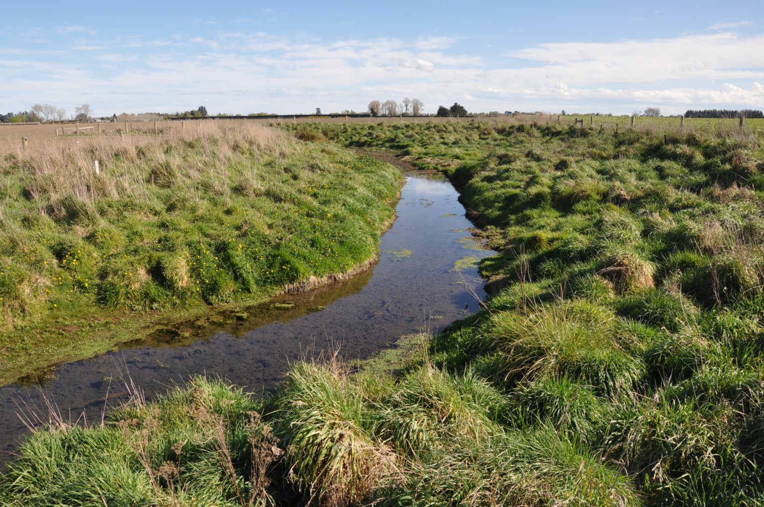 Raywell Farm Stream | Ellesmere Sustainable Agriculture